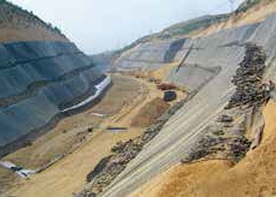 8m Geomembrane 방수 PE TPO EVA PVC 장 밀어남 선